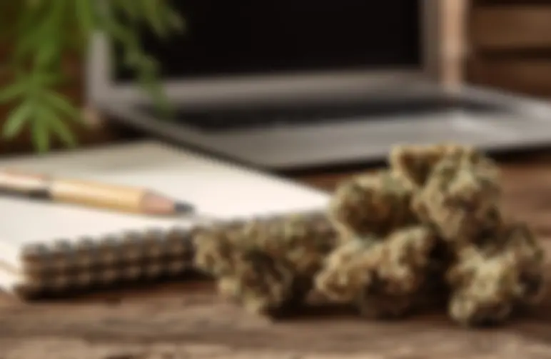Top 8 Variétés Sativa Énergisantes – Idéales pour la journée et la créativité