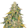 Headband