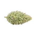 thumb of Tête de cannabis Chronic