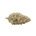 thumb of Tête de cannabis Gumbo