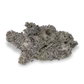 thumb of Bud de Gush Mints