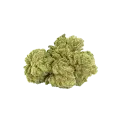 thumb of Bud de Maui Waui Auto