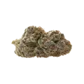 thumb of Bud de Mimosa Auto