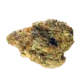 thumb of Nova OG Bud