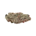 thumb of Bud de Pink Runtz Auto