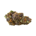 thumb of Bud de Purple Kush Auto