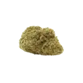 thumb of Bud de Santa Maria Auto