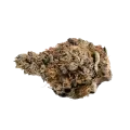 thumb of Slurricane Bud