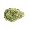 thumb of Super Boof bourgeon autofleurissant