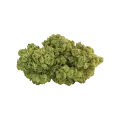 thumb of Bud de Super Silver Haze Auto