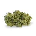 thumb of Super Silver Haze bud