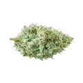 thumb of Tête de cannabis Tetra