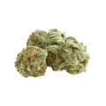 thumb of Bud de White Rhino Auto