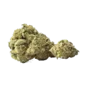 thumb of Yumboldt Banana Bud