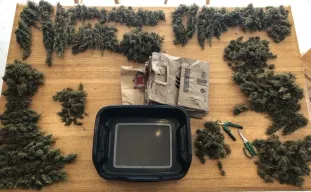Ne gaspillez pas vos chutes : 5 façons faciles d’utiliser les feuilles sucrées et les tiges (qui déchirent vraiment)