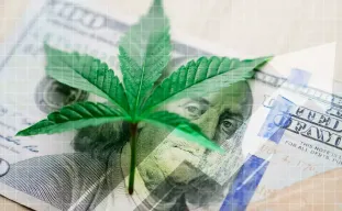 Guide pour Payer des Graines de Cannabis avec des Crypto-Monnaie