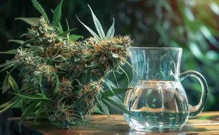 Que signifie le rinçage et quand faut-il le faire ?