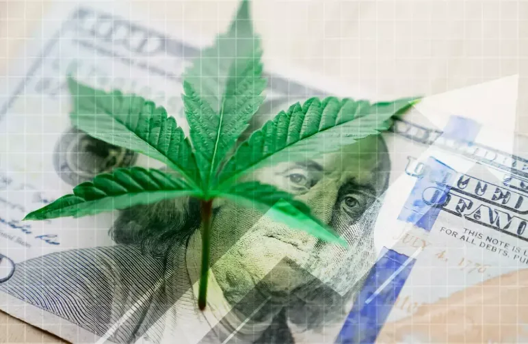 Guide pour Payer des Graines de Cannabis avec des Crypto-Monnaie