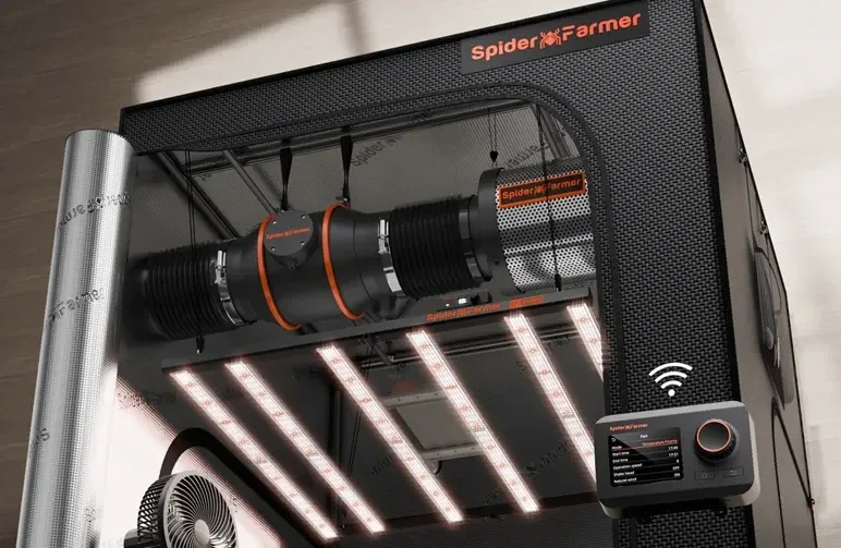 Le guide ultime de la ventilation et du contrôle des odeurs pour une salle de culture