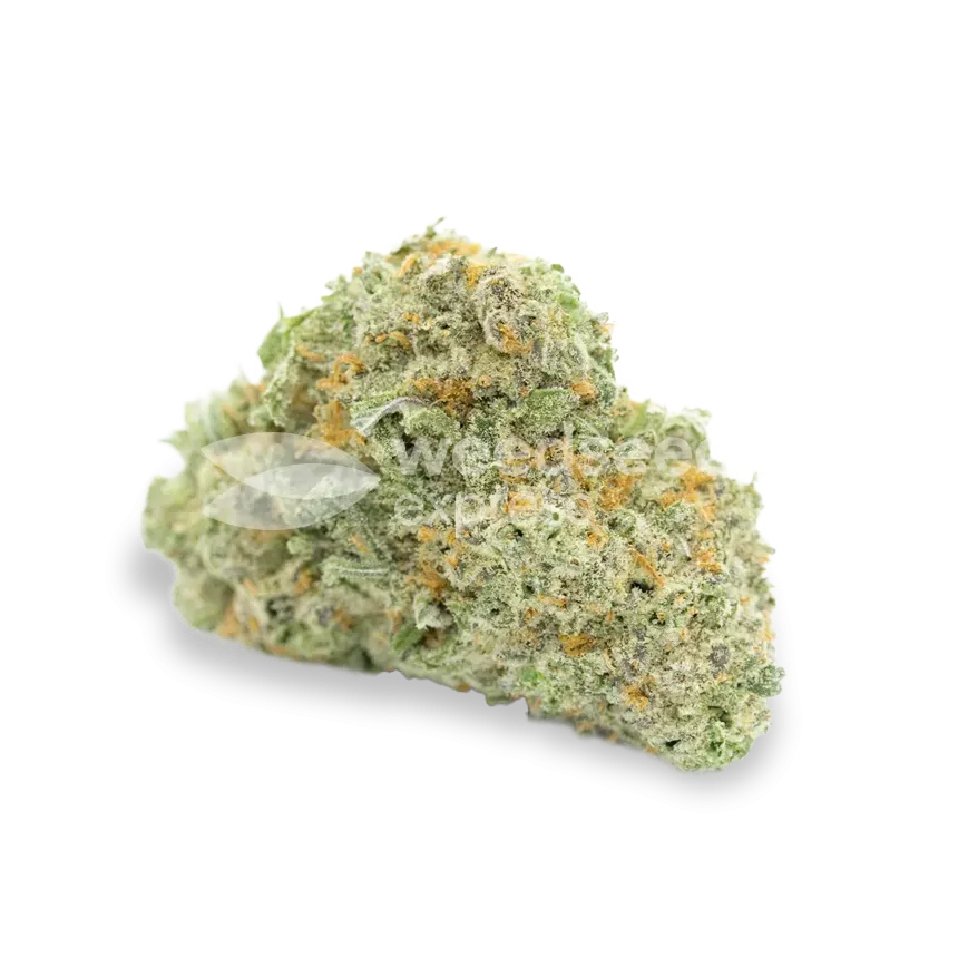Amnesia Haze Bud