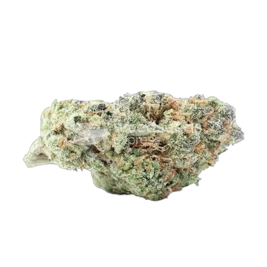 Animal Cookies Bud