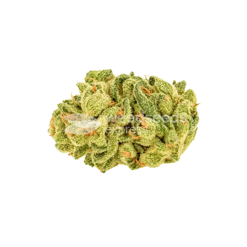 Bud de Banana Zkittlez Auto