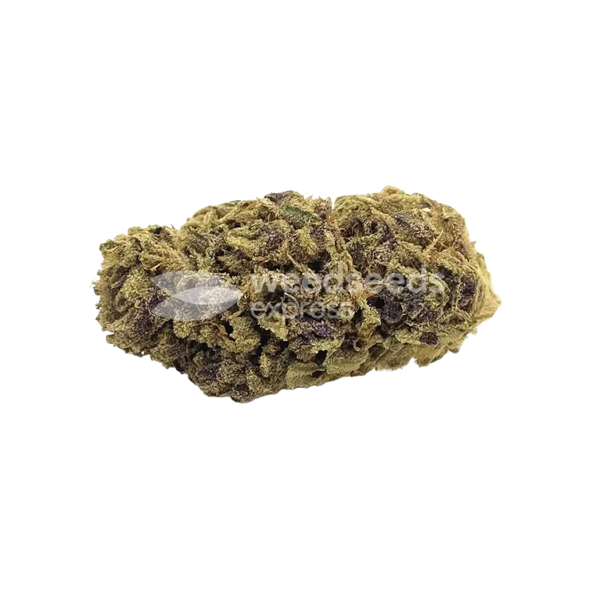 Bud de Blackberry Moonrocks Auto