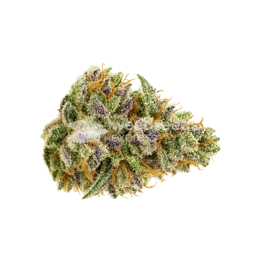 Bud de Bubblegum Sherbet Auto