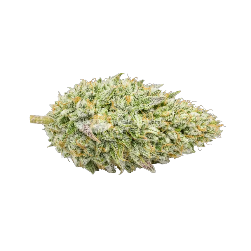 Tête de cannabis Chronic