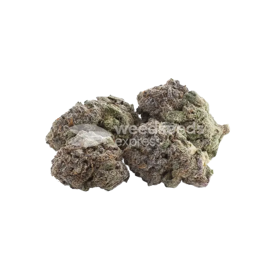 Bud de Durban Poison Auto