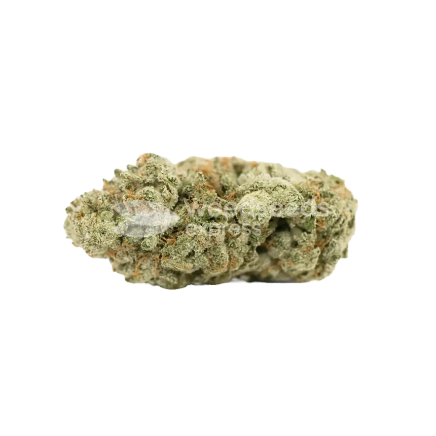 Bud de Gorilla Glue Auto