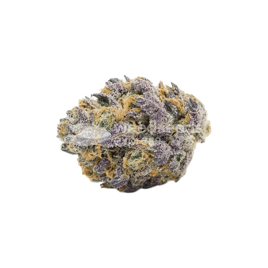 Bud de Granddaddy Purple Auto