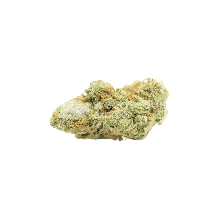 Bud de Jack Widow Auto