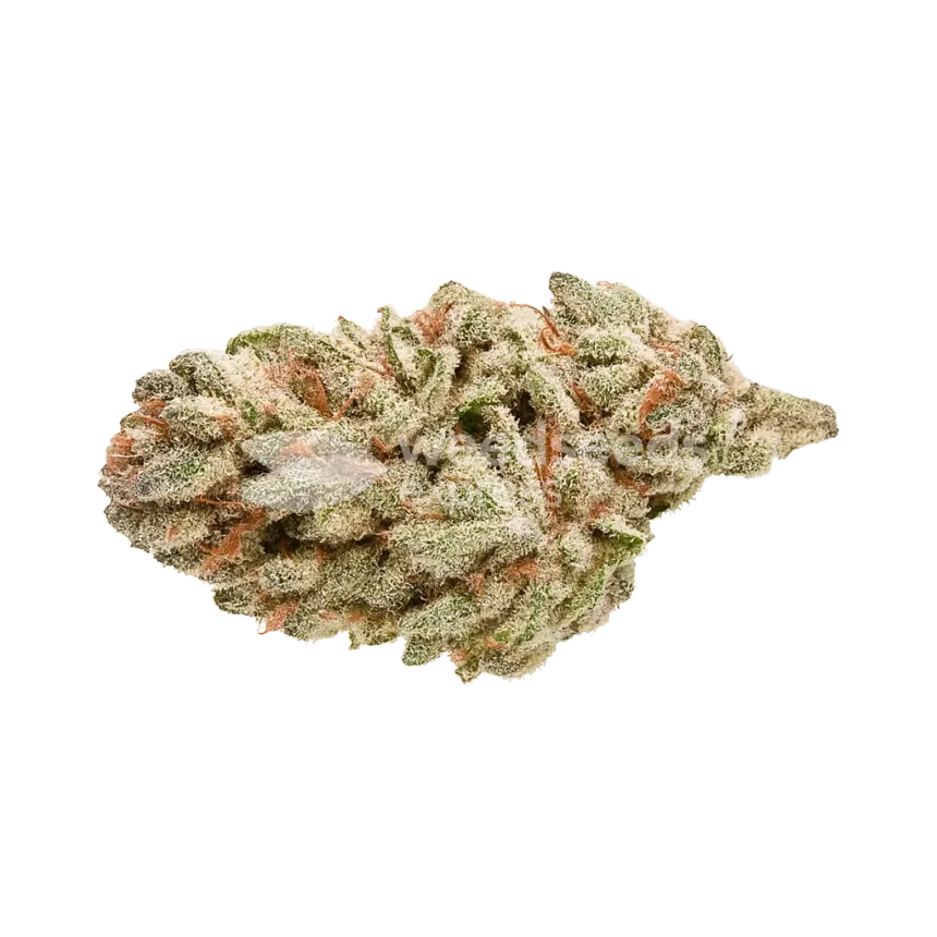 Bud de LA Confidential Auto