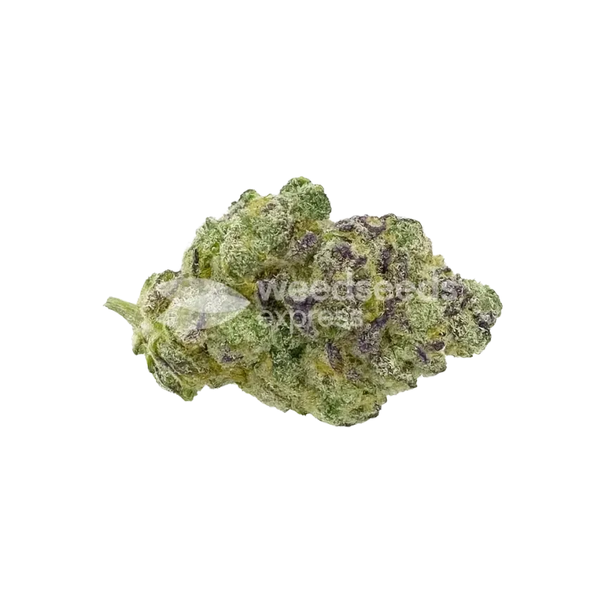 Bud de Lemon Cherry Gelato Auto