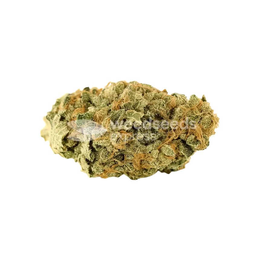 Bud de Lemon Auto