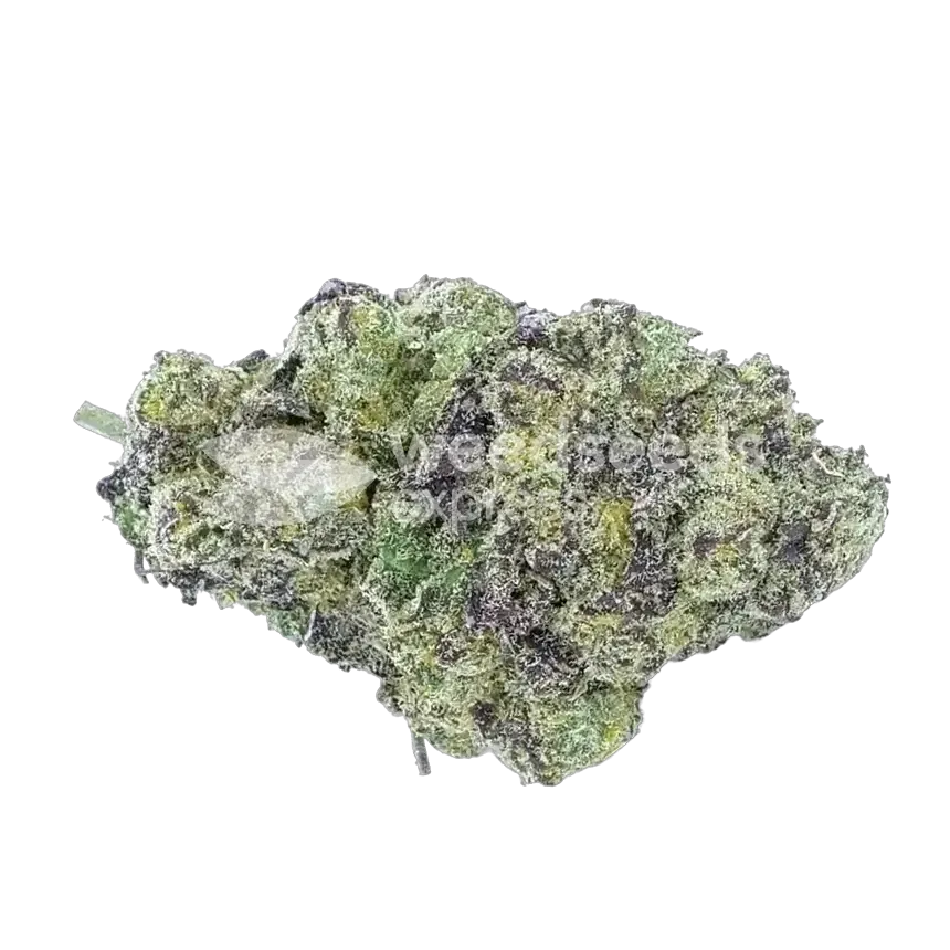 Lemon Cherry Gelato bourgeon