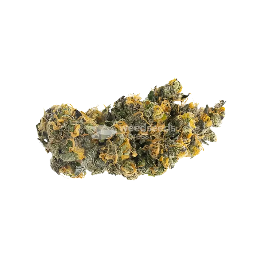 London Pound Cake Bud