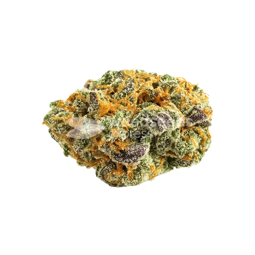 Bud de Love Potion Auto