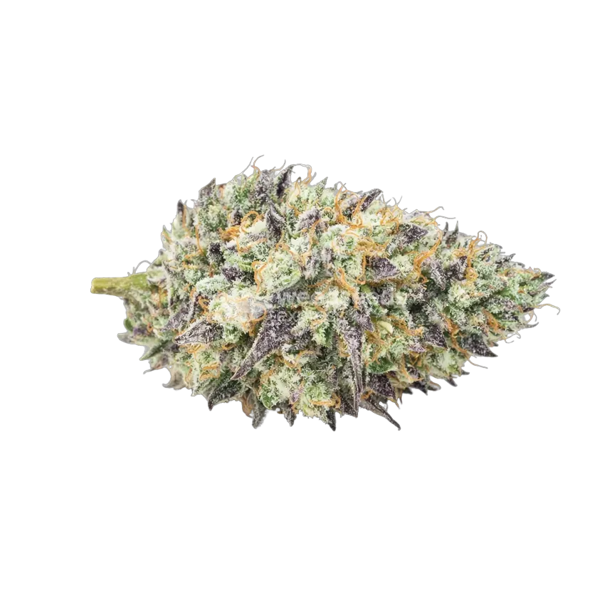 Tête de cannabis Mendo Breath