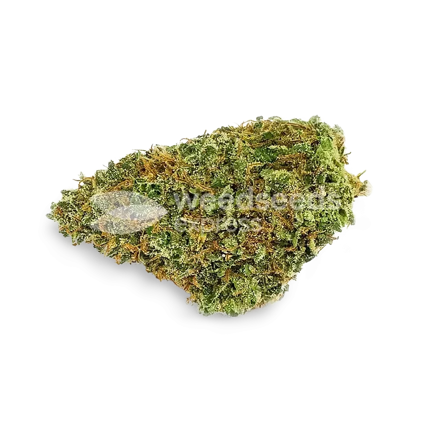 Northern Lights x Big Bud Bud
