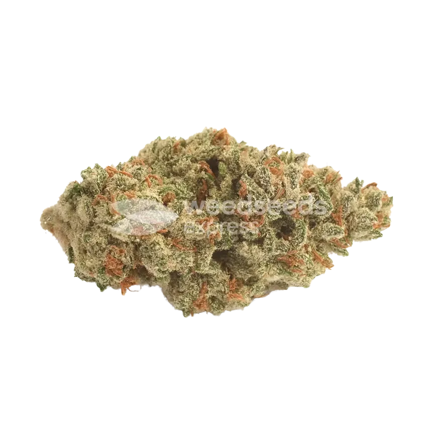 Bud de Peanut Butter Breath Auto