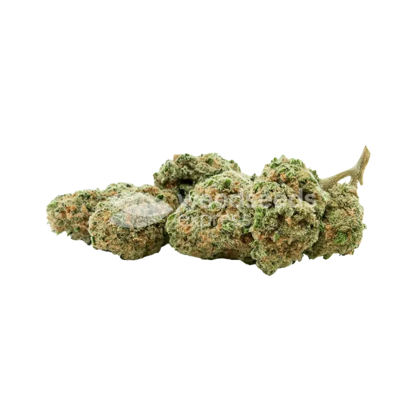 Bud de Pineapple Express Auto