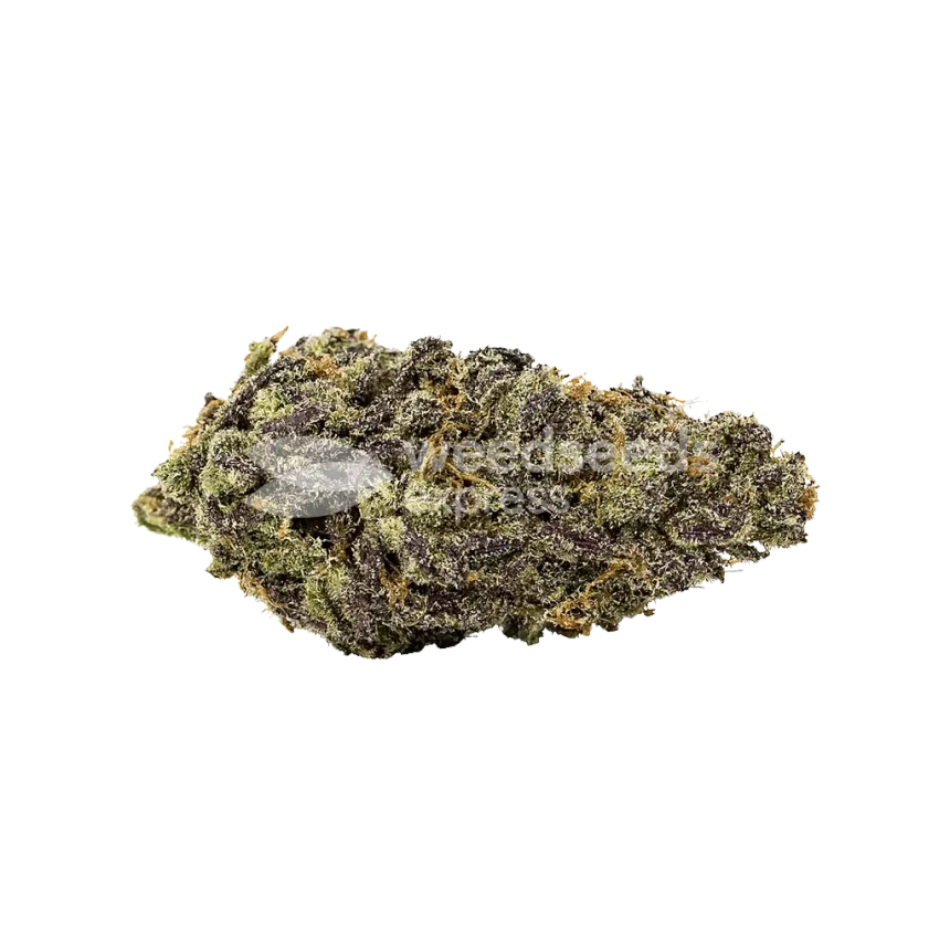 Bud de Pink Rozay Auto