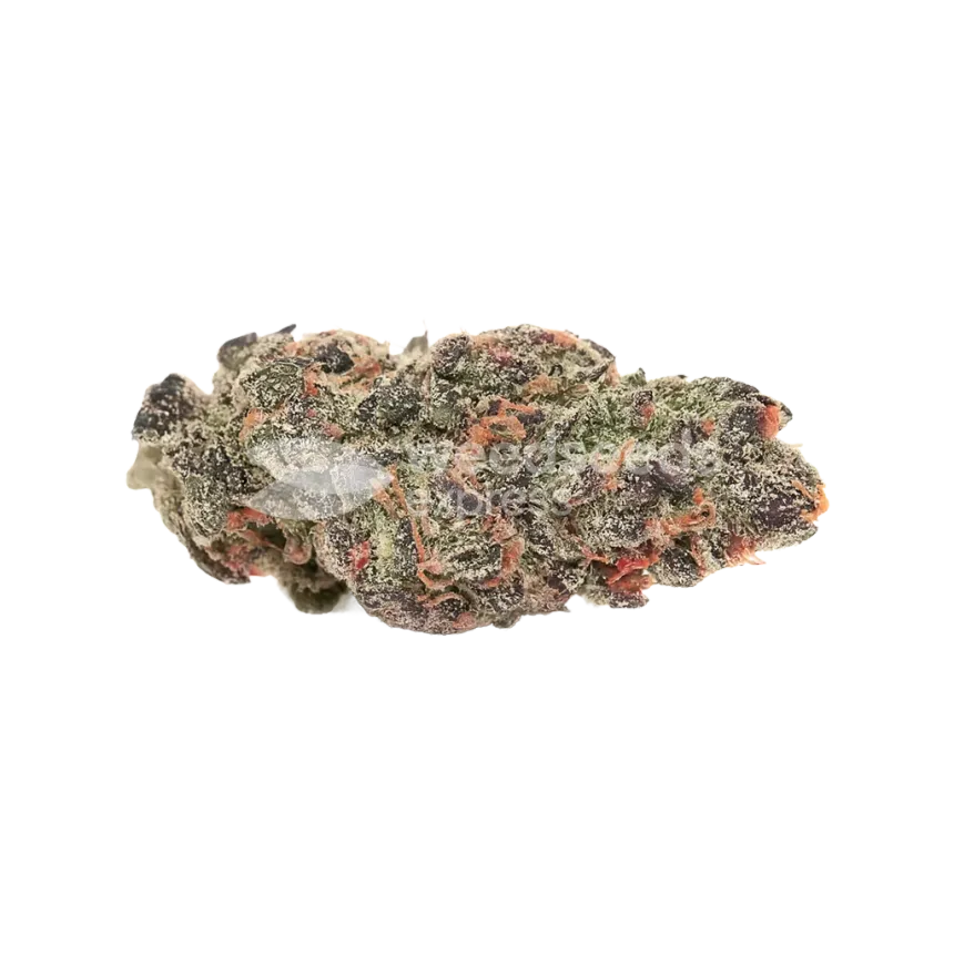 Bud de Pink Runtz Auto