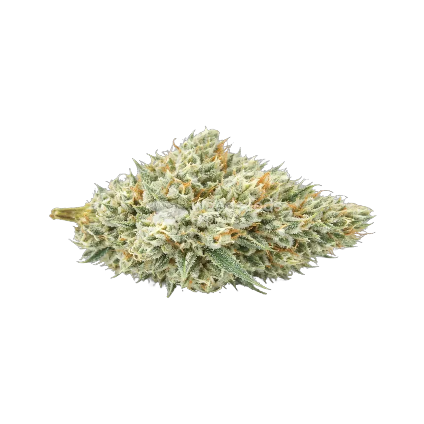 Tête de cannabis Puff Pastry