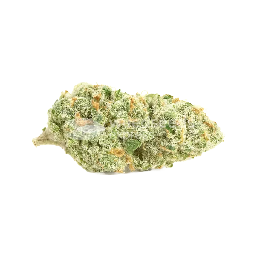 Bud de Sweet Tooth Auto