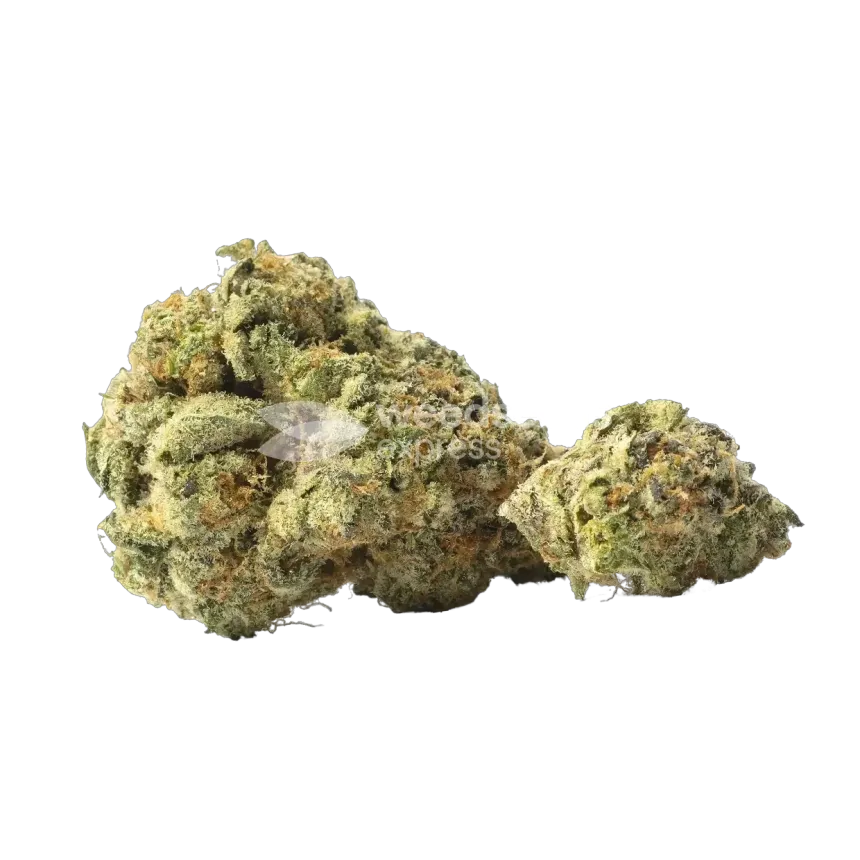Yumboldt Banana Bud