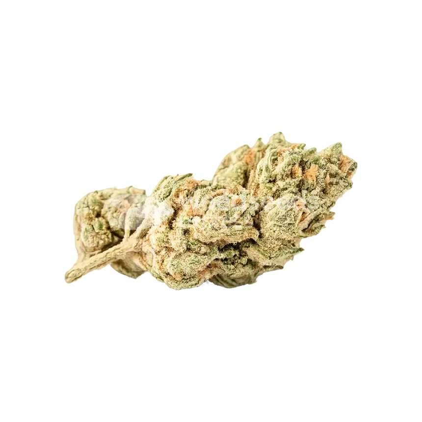 Bud de Zkittlez Auto