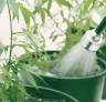 Comment arroser le cannabis : le guide ultime du cycle humide/sec et de la maîtrise du pH